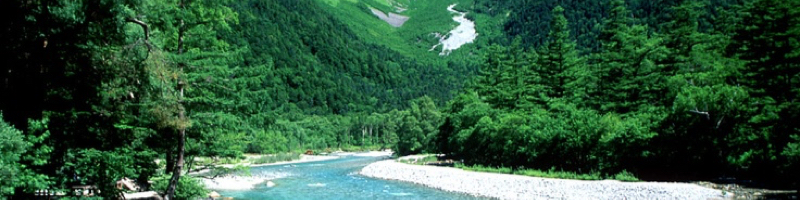 �N���A�n�[�u�~�X�g���T�C�g